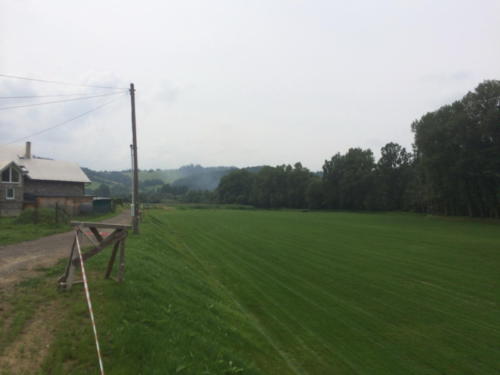 IMG 01542 (1)