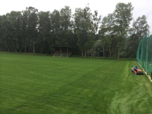 IMG 01542 (7)
