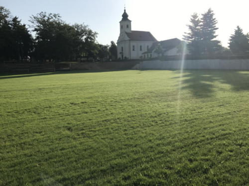 IMG 0102