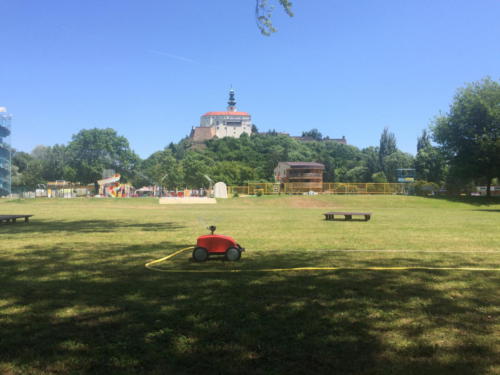 IMG 7967