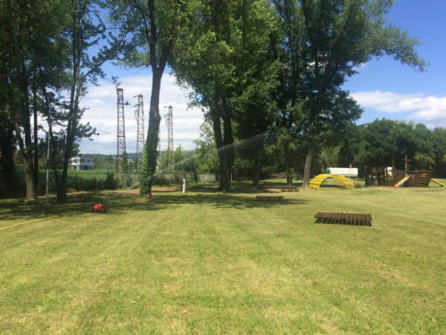 IMG 7968