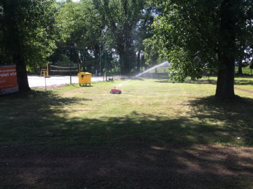 IMG 7971