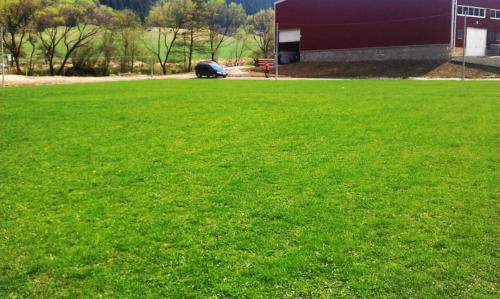 IMAG0522
