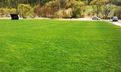 IMAG0523