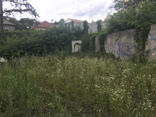 IMG 0124